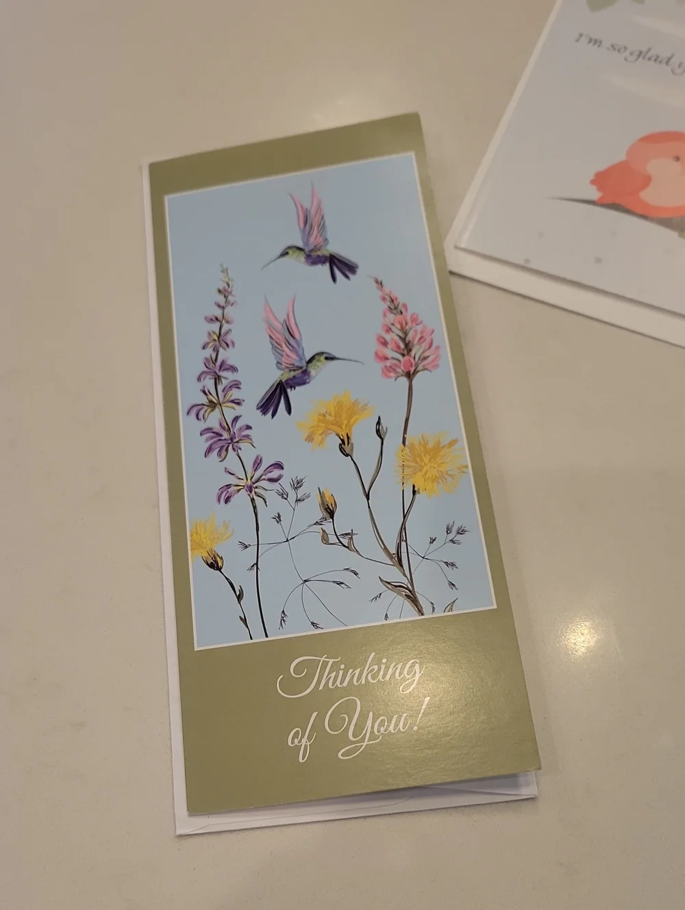New! Assorted Bird Card Bundle
